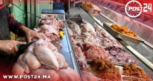 تطوان: انتشار محلات سرية لبيع الدجاج بالجملة داخل الأسواق يثير تساؤلات حول المراقبة وصحة المستهلك