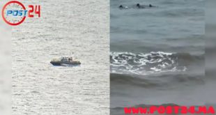 بينهم قاصرون..عشرات الشبان يغامرون بحياتهم سباحة نحو سبتة المحتلة