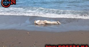 غموض بشاطئ أوشتام.. العثور على جثة شاب مجهول يستنفر السلطات