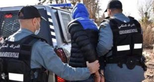 الفنيدق: الدرك يطيح بمشرفين على مجموعة واتساب للتحريض على الهجرة الجماعية نحو سبتة المحتلة