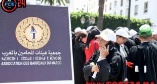 بعد أشهر من الإضراب.. المحامون يعلقون التوقف عن العمل مؤقتاً ويترقبون مآل قانون المهنة